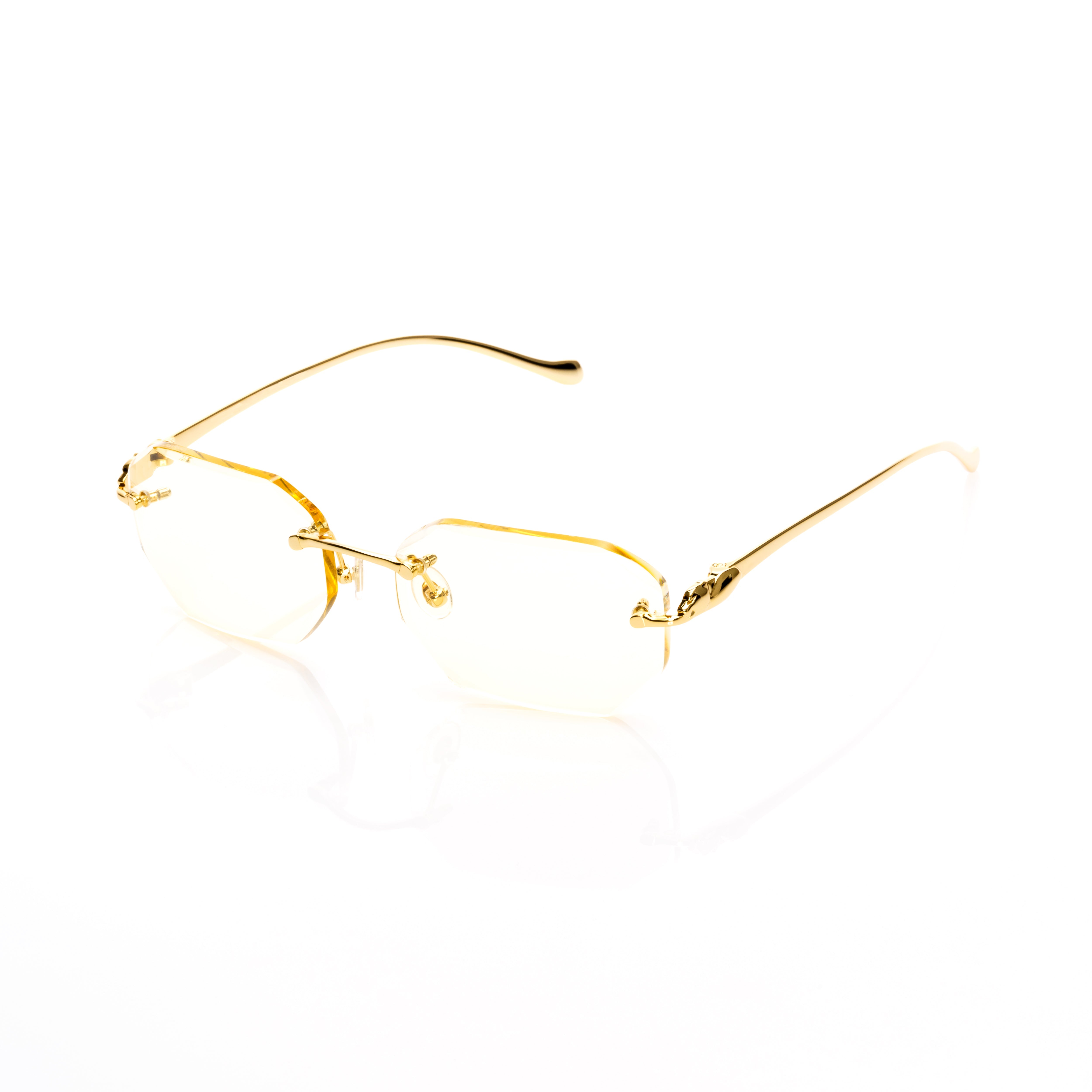 Vision Optik