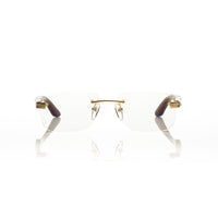 Vision Optik