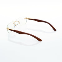 Vision Optik