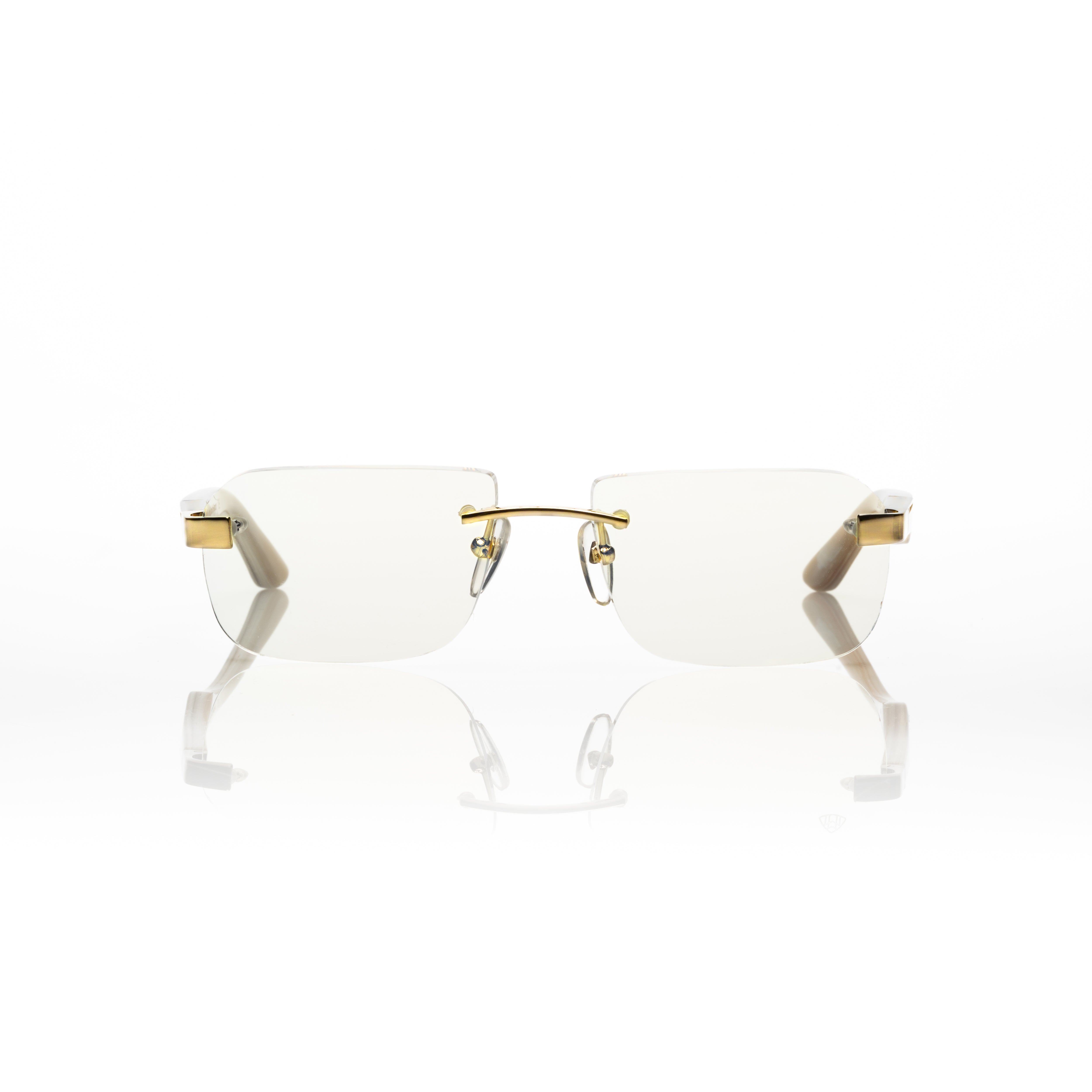 Vision Optik