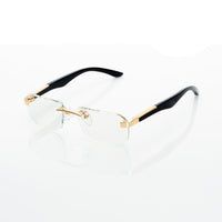 Vision Optik