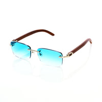 Vision Optik