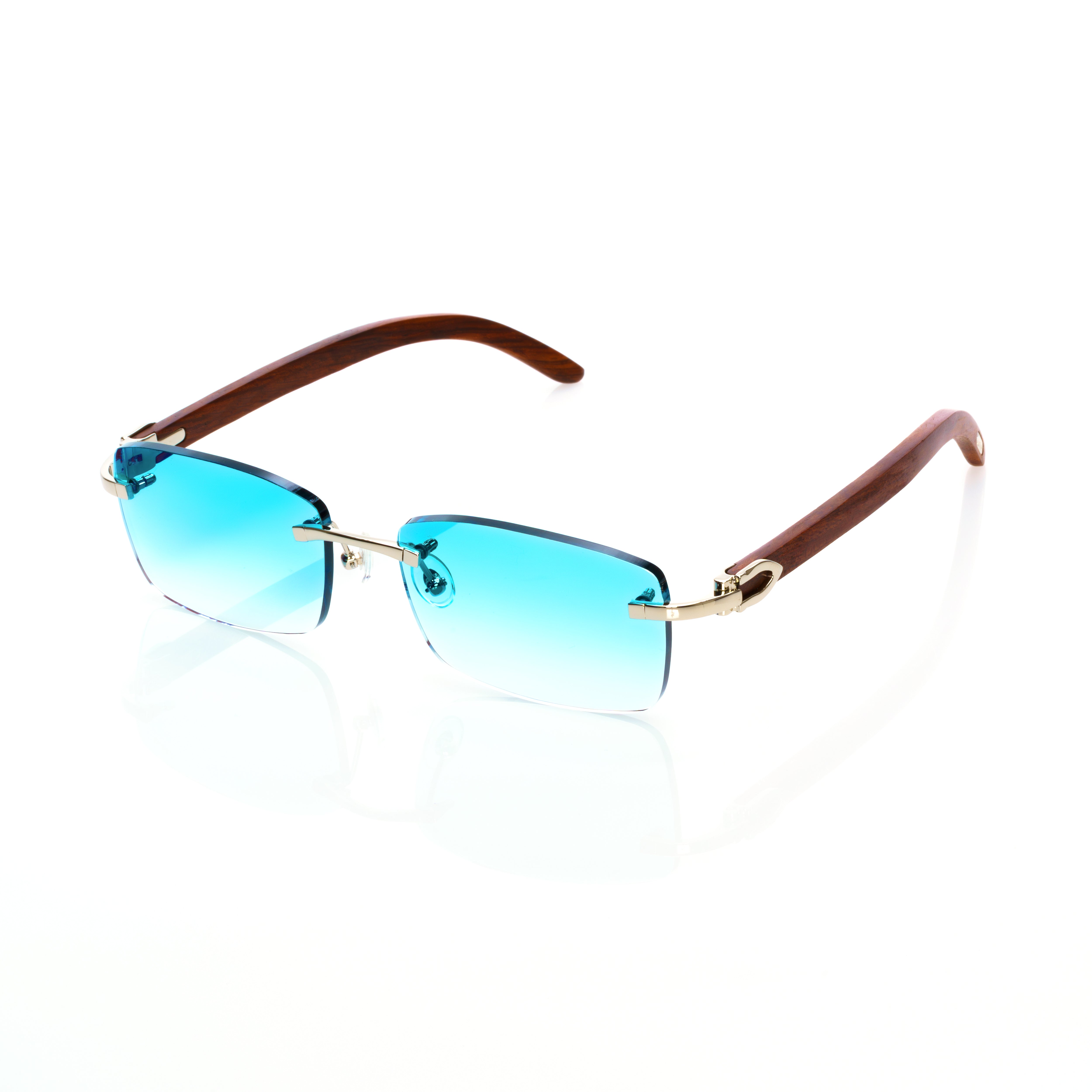 Vision Optik