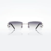 Vision Optik
