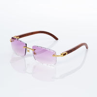 Vision Optik