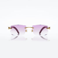 Vision Optik