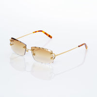 Vision Optik