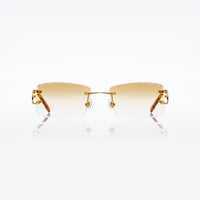 Vision Optik