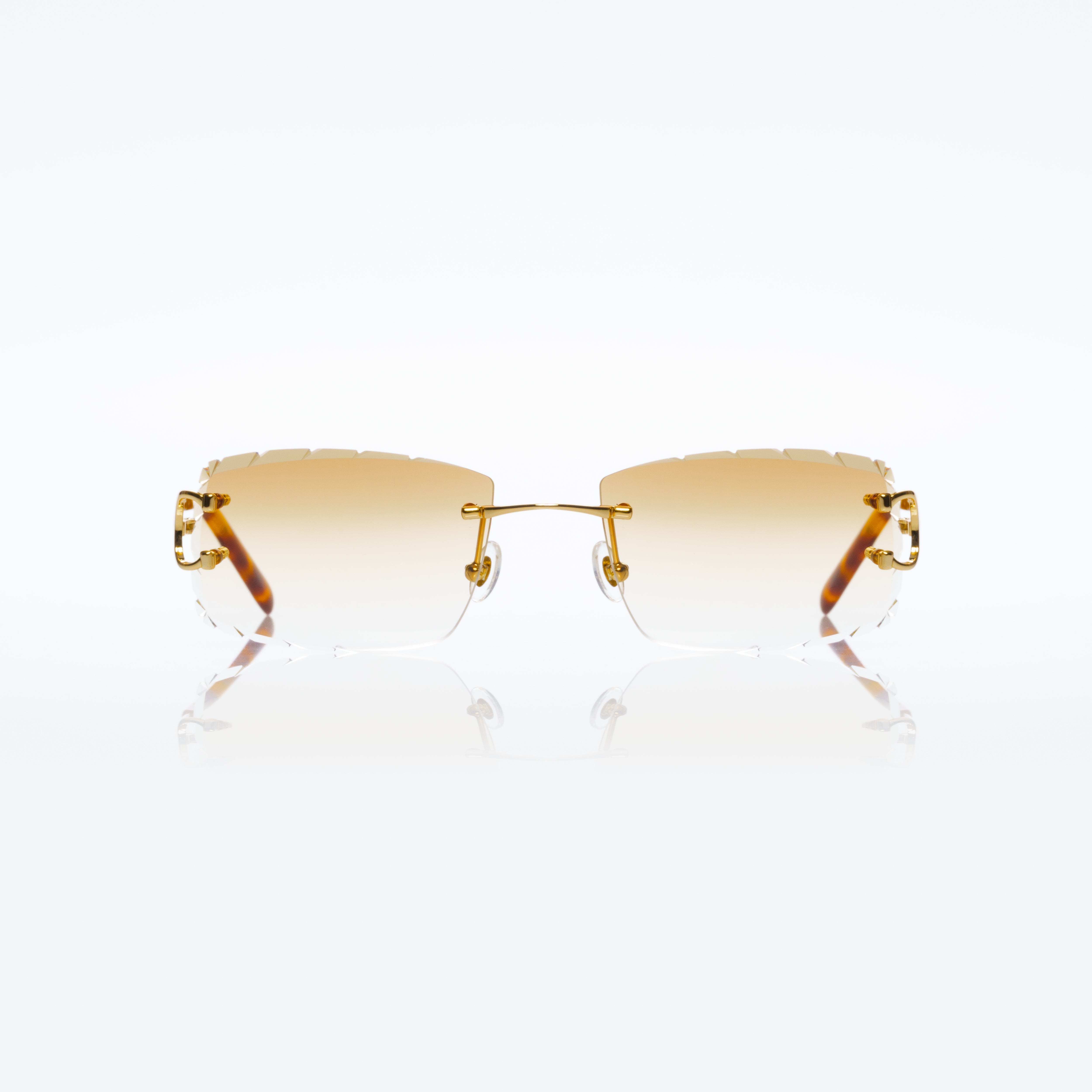 Vision Optik