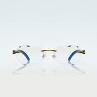 Vision Optik
