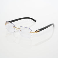Vision Optik
