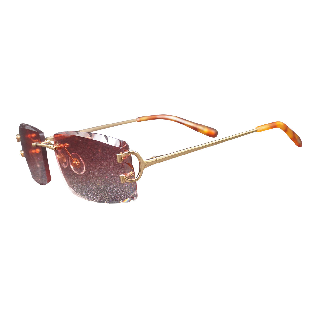 Vision Optik