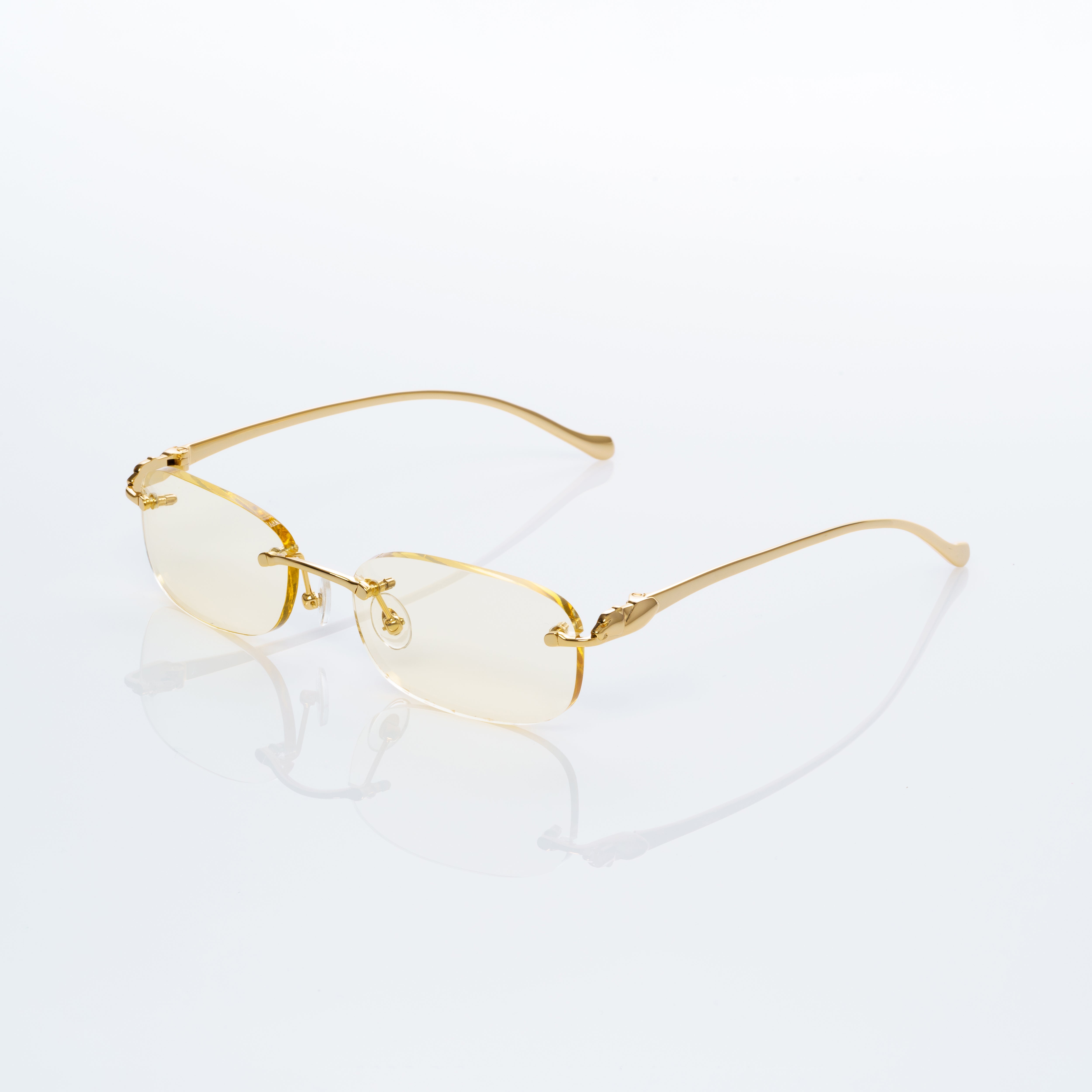Vision Optik