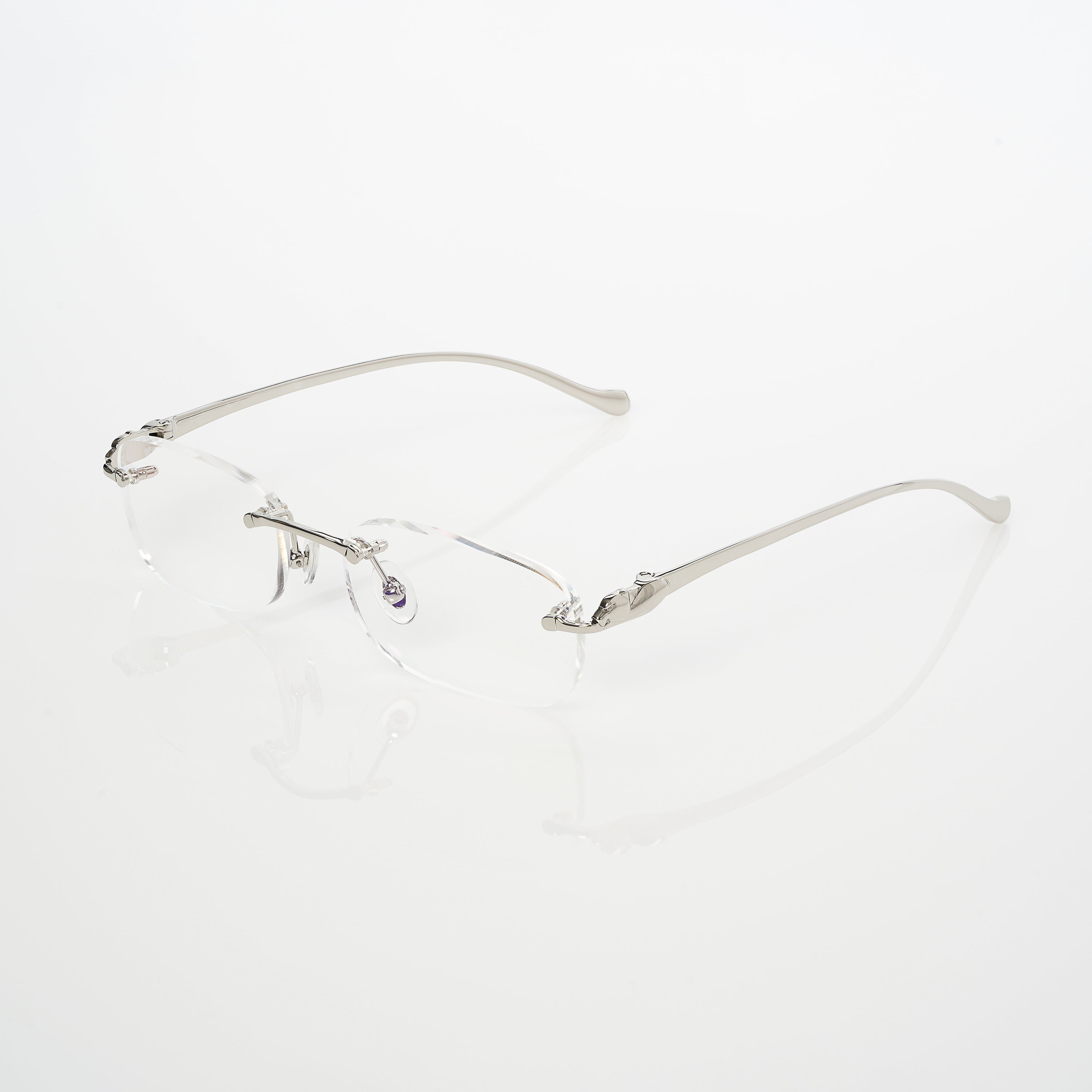 Vision Optik