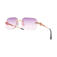 Vision Optik