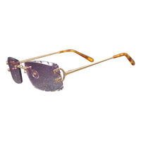 Vision Optik
