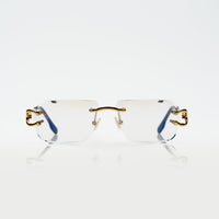 Vision Optik