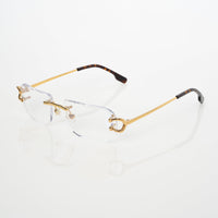 Vision Optik