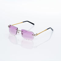 Vision Optik