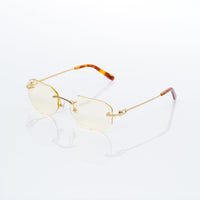 Vision Optik