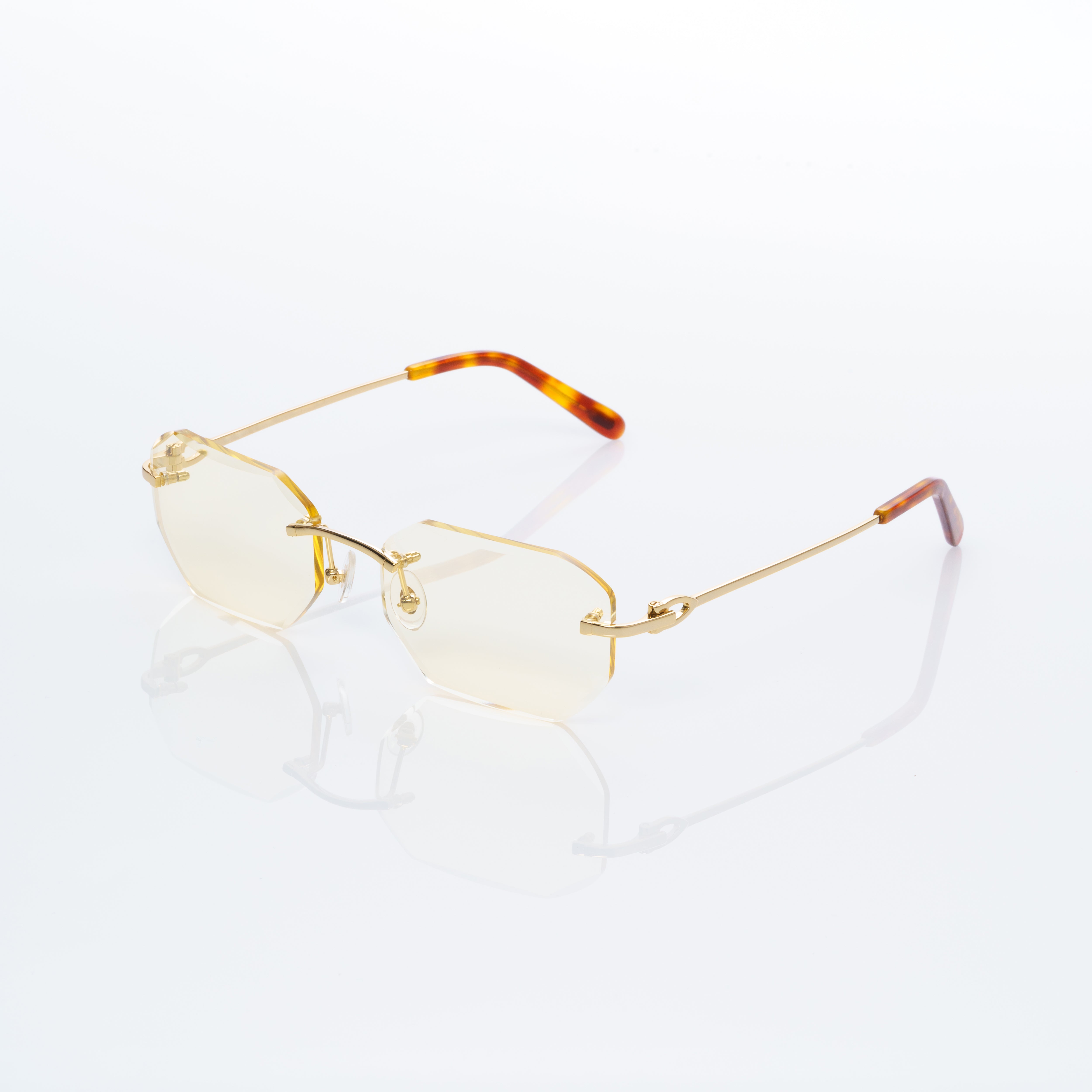 Vision Optik