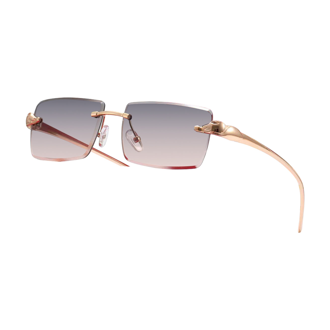 Vision Optik