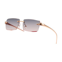 Vision Optik