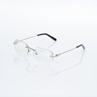 Vision Optik