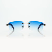 Vision Optik