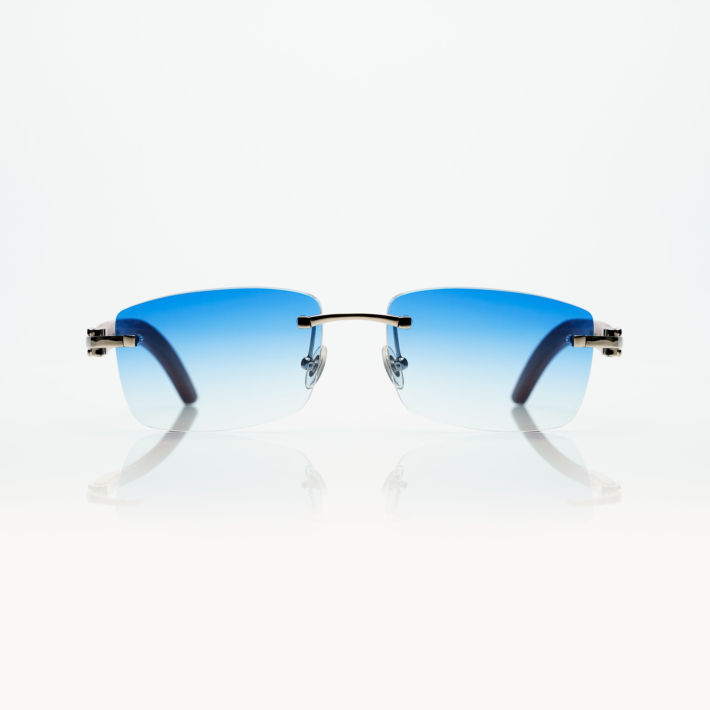 Vision Optik