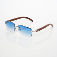 Vision Optik