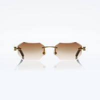 Vision Optik