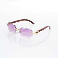 Vision Optik