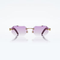 Vision Optik