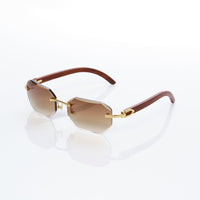 Vision Optik