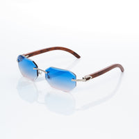 Vision Optik