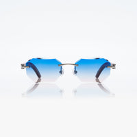 Vision Optik