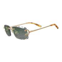 Vision Optik