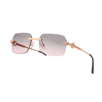 Vision Optik
