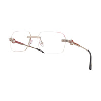 Vision Optik