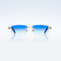Vision Optik