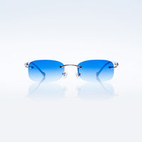 Vision Optik