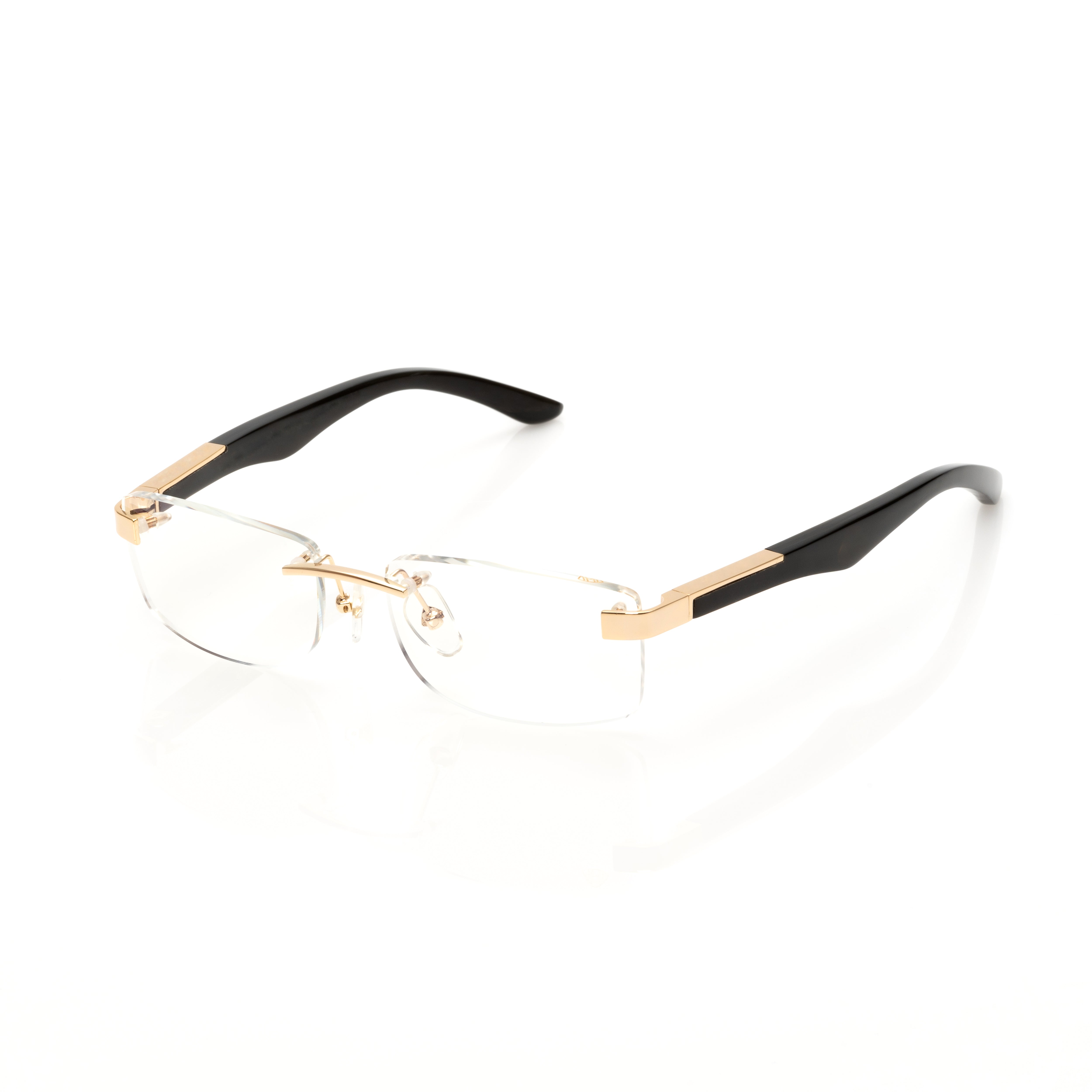 Vision Optik