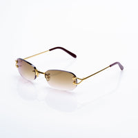 Vision Optik