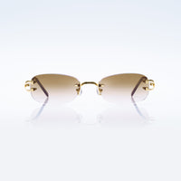 Vision Optik