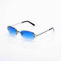 Vision Optik