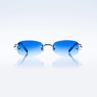 Vision Optik