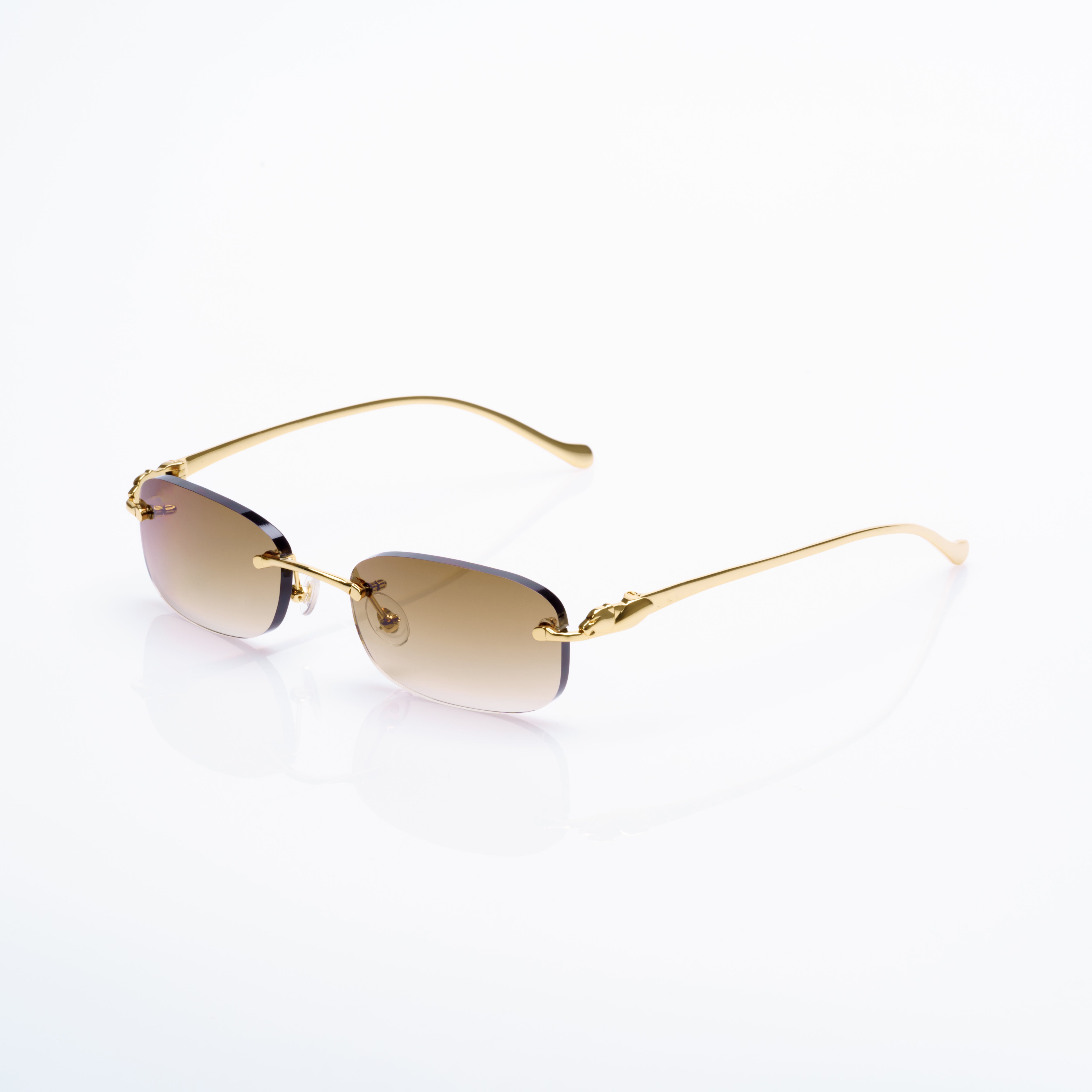 Vision Optik