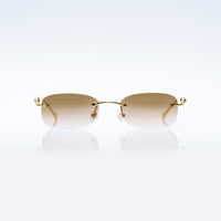 Vision Optik