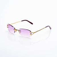 Vision Optik